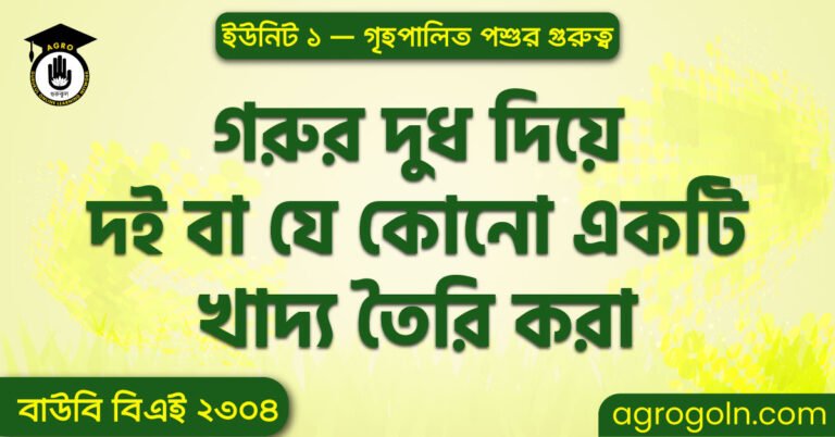 গরুর দুধ দিয়ে দই বা যে কোনো একটি খাদ্য তৈরি করা