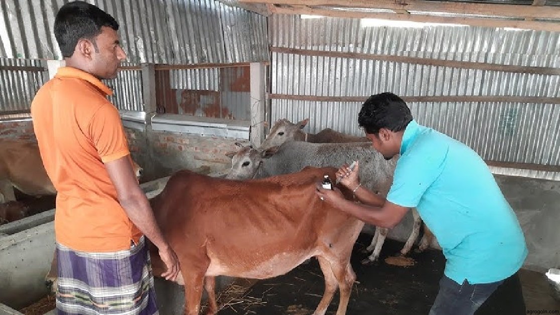 কৃত্রিম প্রজনন