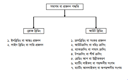 জাত উন্নয়নের উদ্দেশ্য এবং পদ্ধতি