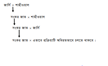 জাত উন্নয়নের উদ্দেশ্য এবং পদ্ধতি
