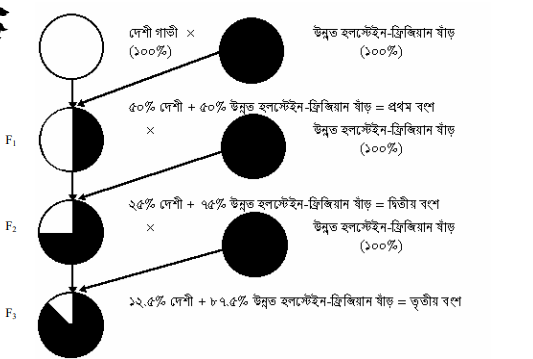 জাত উন্নয়নের উদ্দেশ্য এবং পদ্ধতি