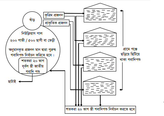 জাত উন্নয়নের উদ্দেশ্য এবং পদ্ধতি