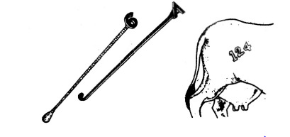 দুগ্ধ খামার ব্যবস্থাপনা