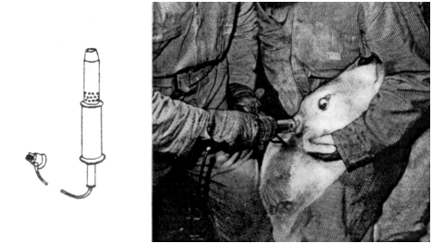 দুগ্ধ খামার ব্যবস্থাপনা