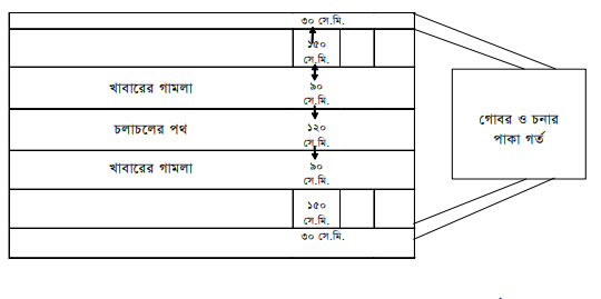 দুগ্ধ খামার স্থাপনে প্রাথমিক করণীয়