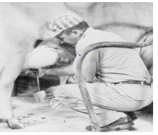 দুধ দোহন ও দুধ বাজারজাতকরণ 5 দুধ দোহন ও দুধ বাজারজাতকরণ