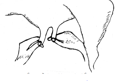 দুধ দোহন ও দুধ বাজারজাতকরণ 8 দুধ দোহন ও দুধ বাজারজাতকরণ