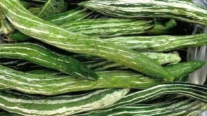 চিচিঙ্গা বা কইডা বা কুশি বা হইডা, Snake gourd, Chichinga, Trichosanthes cucumerina