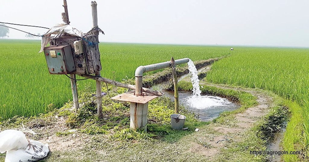 ধান চাষ সম্পর্কিত সকল তথ্য 25 ধান চাষে সেচ