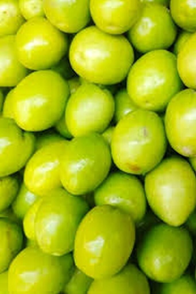 কুল চাষ পদ্ধতি 2 আপেল কুল