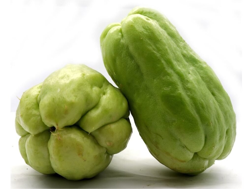 স্কোয়াশ 