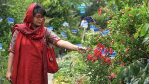 কৃষি ও বৃক্ষ মেলা