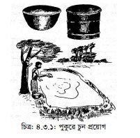 মাছ চাষের জন্য পুকুর খনন ও প্রস্তুতকরণ ও পোনা ছাড়ার পদ্ধতি 2 মাছ চাষের জন্য পুকুর খনন ও প্রস্তুতকরণ ও পোনা ছাড়ার পদ্ধতি