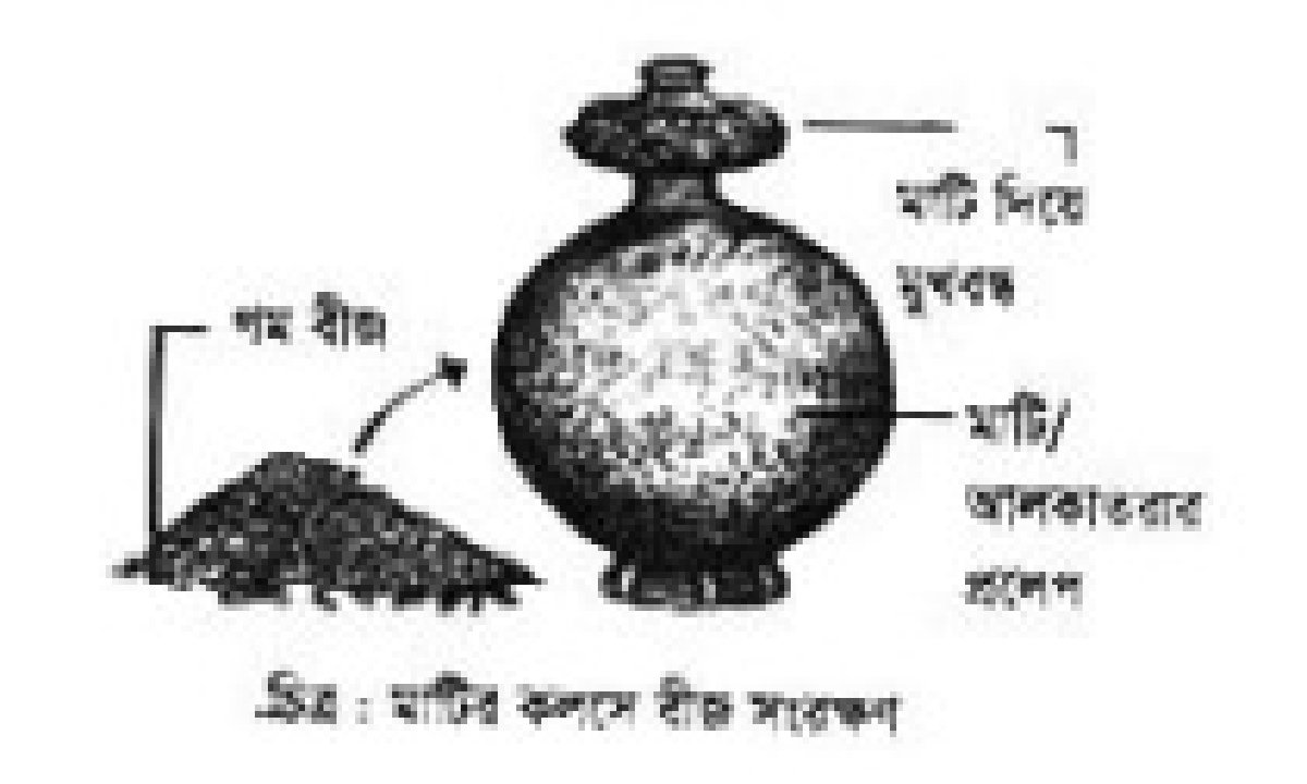 ব্যবহারিক : মাটির কলসে ধান বীজ সংরক্ষণ