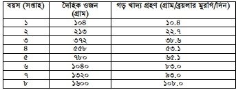 মুরগির খাদ্য