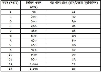 মুরগির খাদ্য