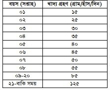 হাঁসের খাদ্য