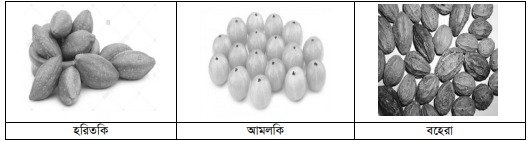 গুরুত্বপূর্ণ ঔষধি উদ্ভিদের সাধারণ পরিচিতি ও তালিকা