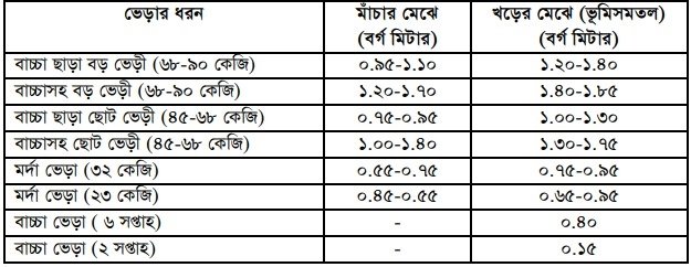 ভেড়া পালন