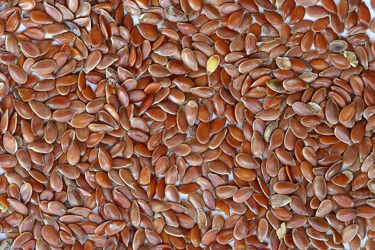 বীজের বিশুদ্ধতার হার নির্ণয়