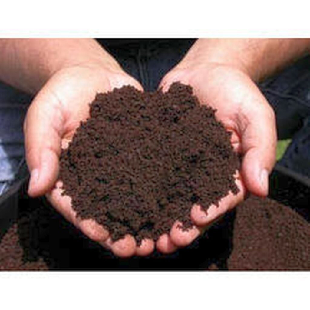 অণুজীব সার