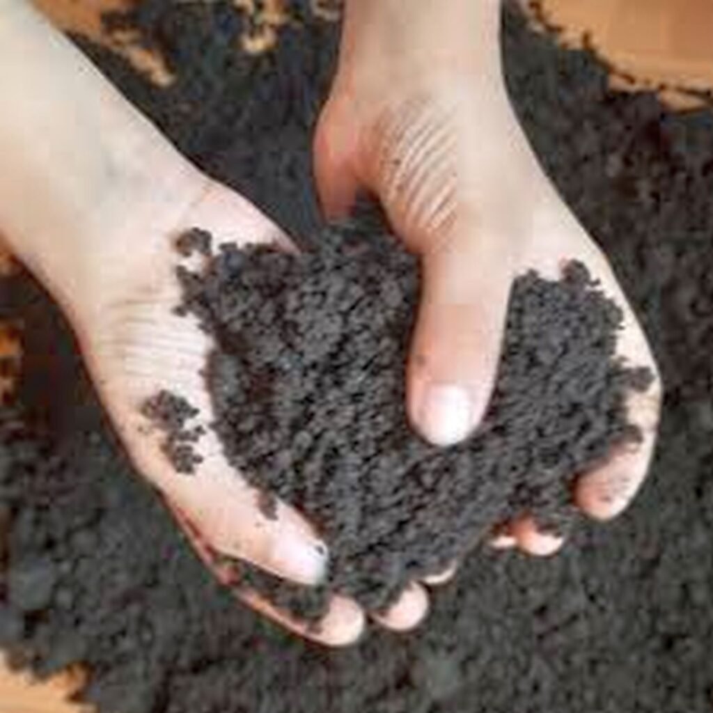 অণুজীব সার