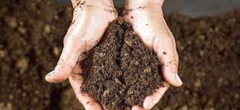 অণুজীব সার