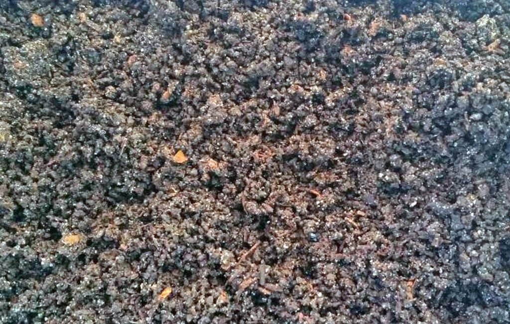 অণুজীব সার