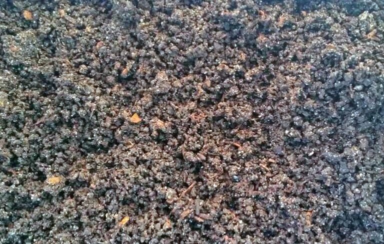 অণুজীব সার