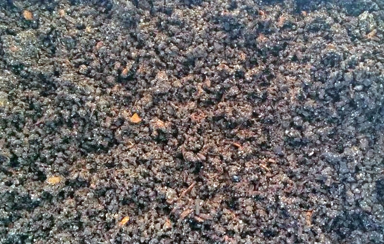 অণুজীব সার