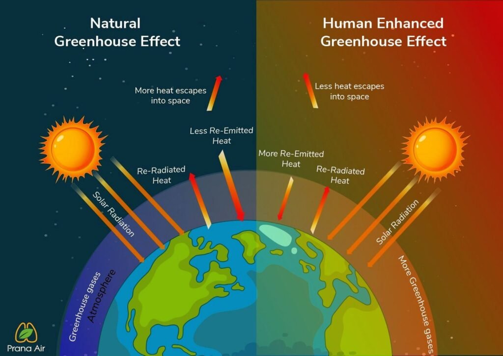 গ্রীন হাউজ ইফেক্ট