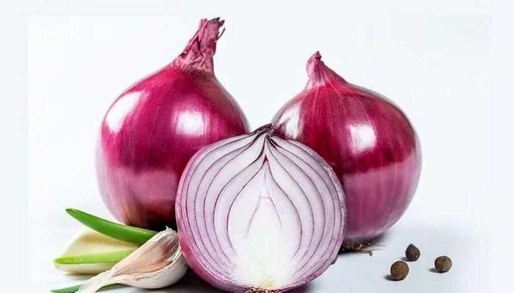 পিঁয়াজ চাষ