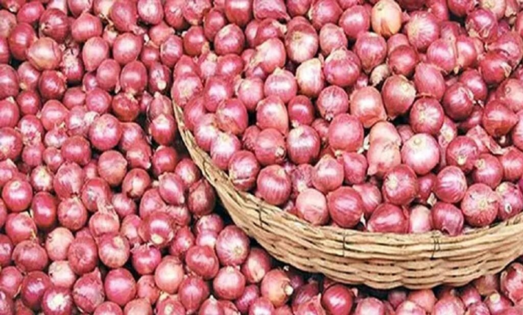 পিঁয়াজ 