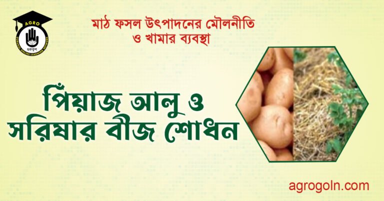 পিঁয়াজ আলু ও সরিষার বীজ শোধন