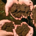 মাটির গঠন