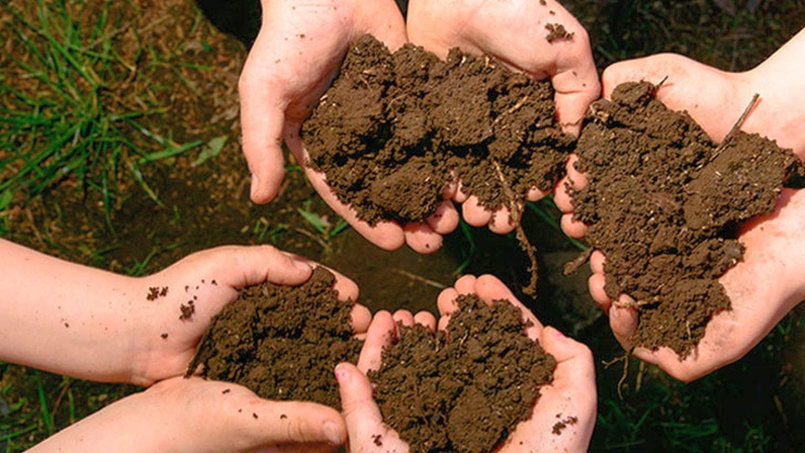 মাটির গঠন