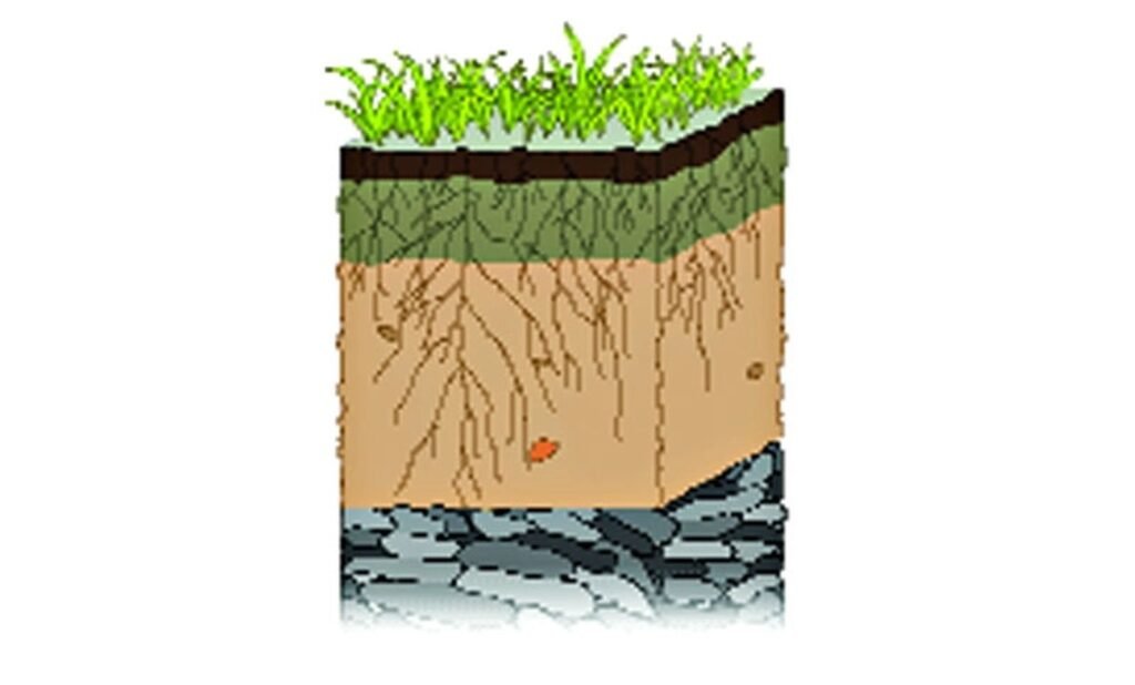 মৃত্তিকা অম্লত্ব 7 মাটির গঠন