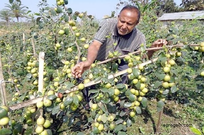 মেঘনার সবুজময় চরে তরমুজ | সারা সপ্তাহের খবর 