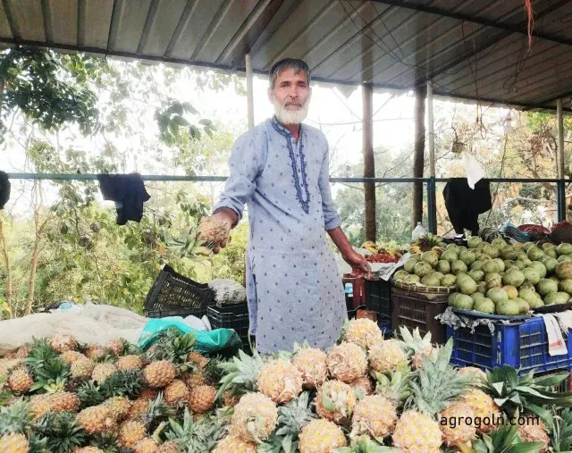 বিতরণ করা হলো কৃষি যন্ত্রপাতি | সারা সপ্তাহের খবর 