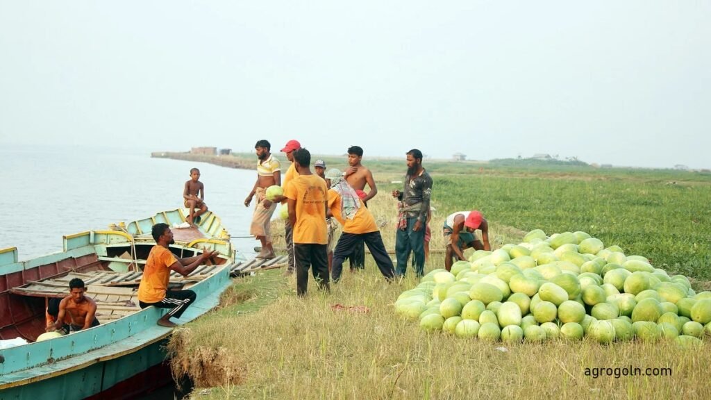 বাংলাদেশের কৃষিতে চ্যালেঞ্জ ও উত্তরণ
