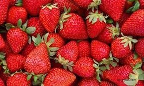 মেঘনার সবুজময় চরে তরমুজ | সারা সপ্তাহের খবর 