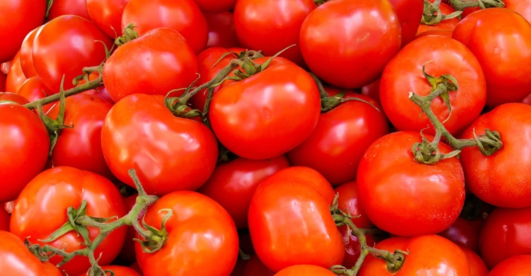 কুমিল্লার তিতাসে মরিচের বাম্পার ফলন | সারা সপ্তাহের খবর 