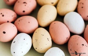 ডিম Egg 18 ডিম অনুর্বর হওয়ার কারণ, ডিমের যত্ন ও সংরক্ষণ