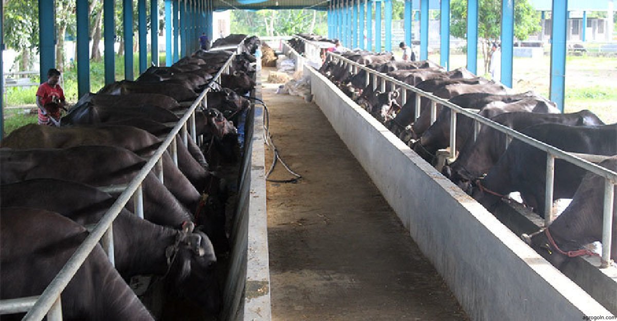 ব্যবহারিকঃ ব্যাংক থেকে ঋণ পরিশোধের খতিয়ান নিজ খাতায় লেখা 4 ব্যবহারিকঃ ব্যাংক থেকে ঋণ পরিশোধের খতিয়ান নিজ খাতায় লেখা