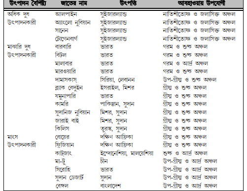 ছাগলের জাত ও বৈশিষ্ট্য