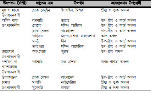 ছাগলের জাত ও বৈশিষ্ট্য