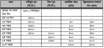 মহিষের খাদ্য