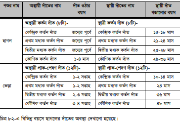 দাঁত দেখে ছাগল ও ভেড়ার বয়স নির্ণয় করা