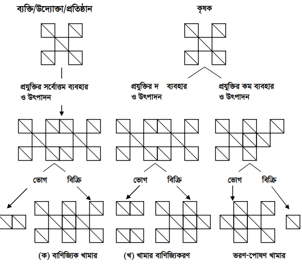 খামার বাণিজ্যিকীকরণ