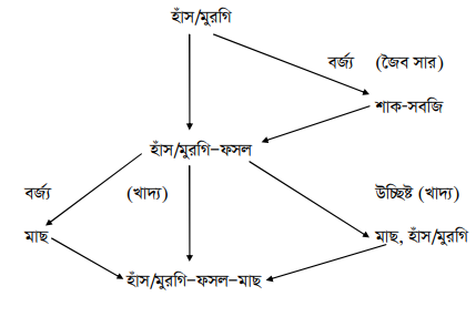 পোলট্রি ভিত্তিক সমন্বিত খামার (মুরগি/হাঁস, ফসল, মাছ)
